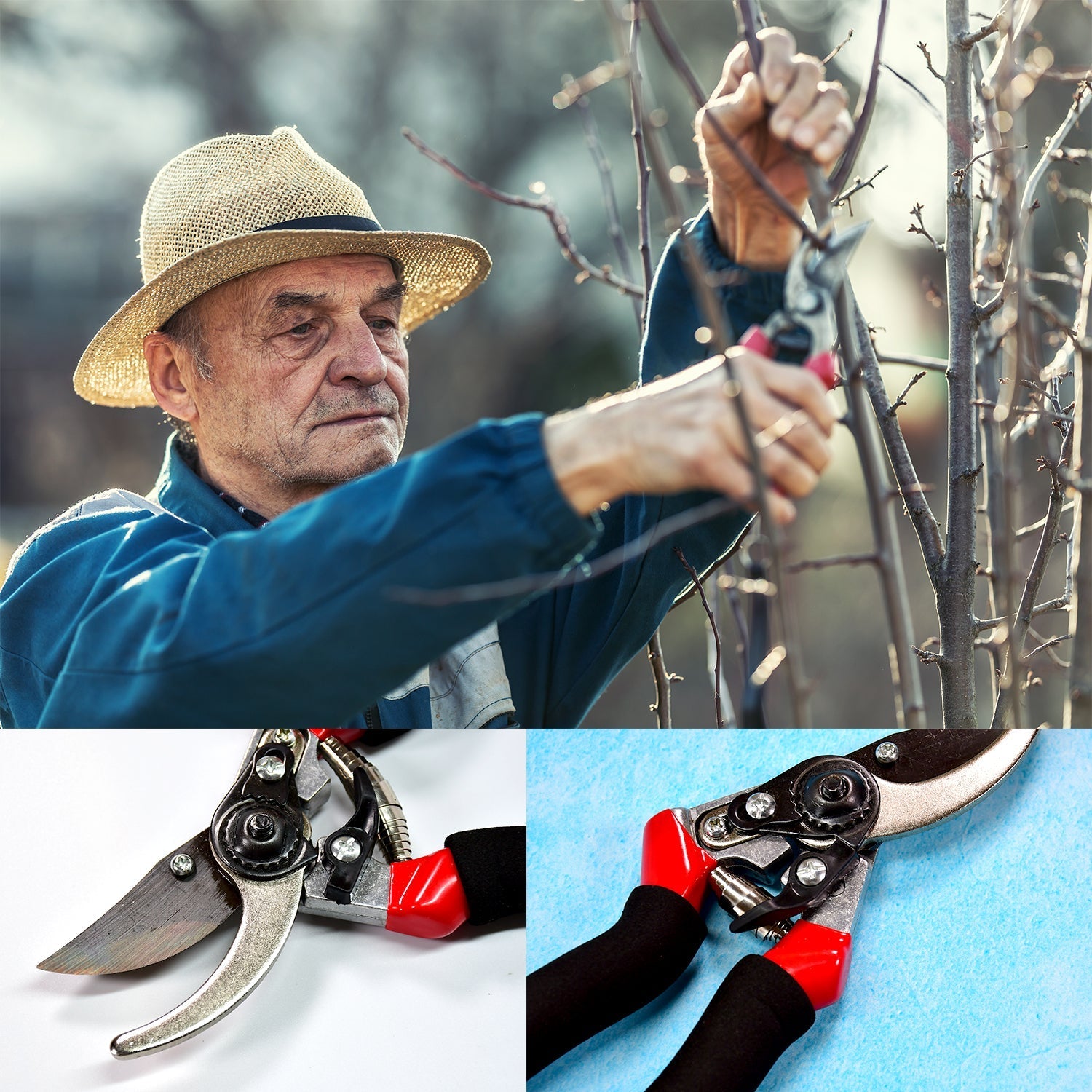 Red garden pruners, sharp cutter for trimming Red garden pruners, sharp cutter for trimming
